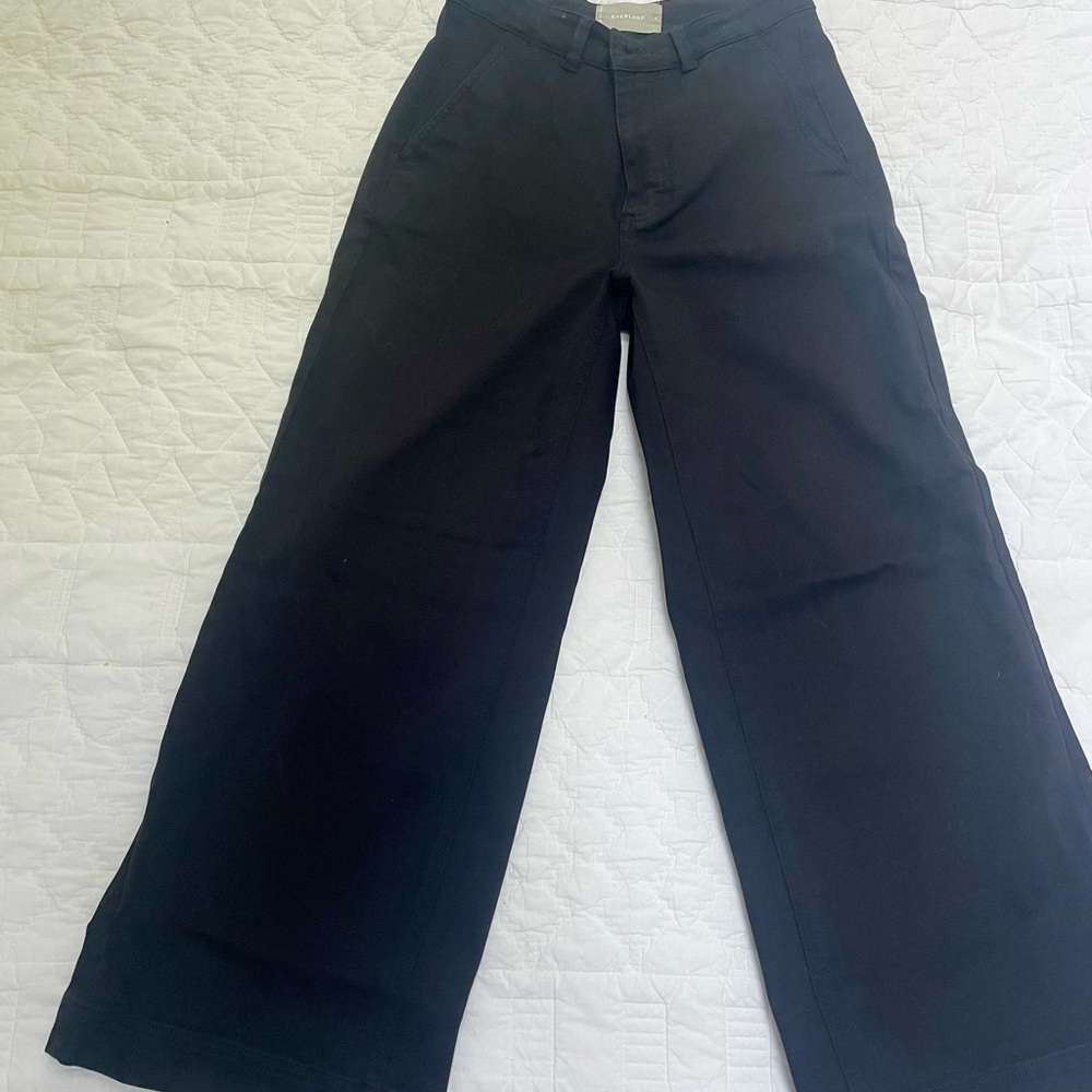 Everlane Black Chinos Versatile Classic